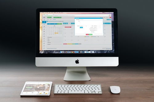 從概念到實(shí)施 深入解析App開發(fā)、定制開發(fā)與企業(yè)軟件構(gòu)建